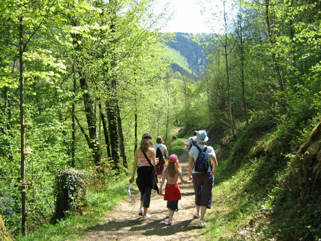 Photo d'une famille en randonnée
